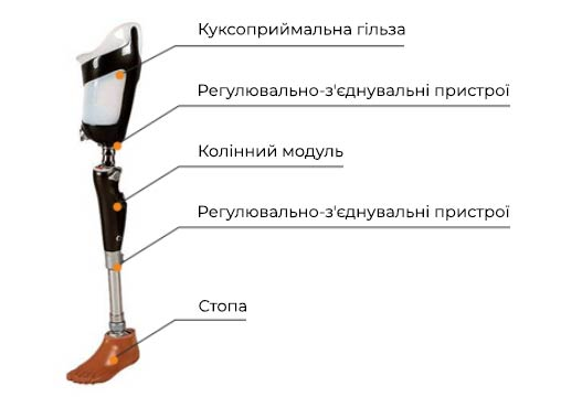 Елементи протезу стегна